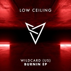 WILDCARD (US) - HOUSE KIDS