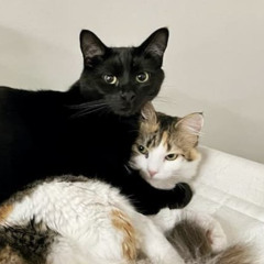 In my arms