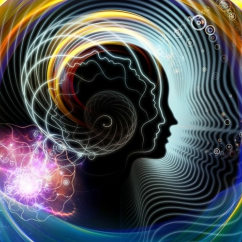 The Polyvagal Series May 2022- 1 -Intro To The Vagus Nerve