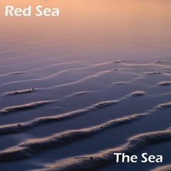 The Sea - Radio Edit