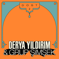 Ayşe Halam Arıyor