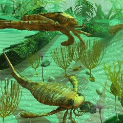 Cambrian