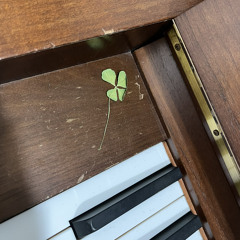 [cover] 하현상 - 등대