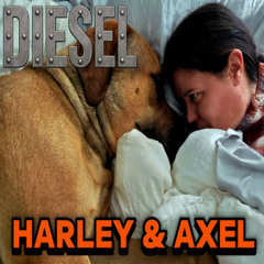 Harley & Axel