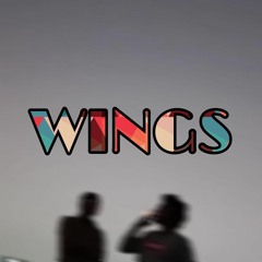 Wings (Feat. SwagSultan)