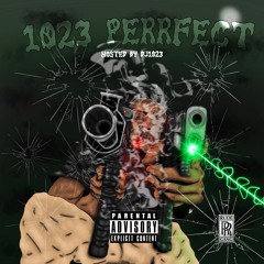 1023 Perfect (PILL)