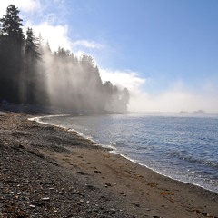 Deep Breakfast 261 ~ Orca Silent