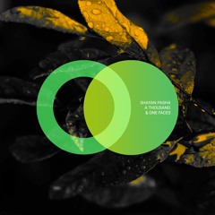 Shayan Pasha - One Thousand & One Faces (Bardeeya Remix) [Area Verde] // Progressive House Premiere