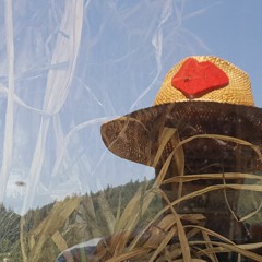 Dreaming Through the Veil