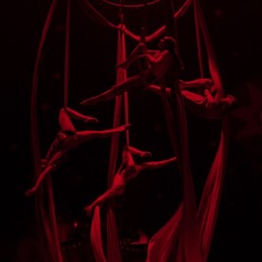 blood circus [REMIX]