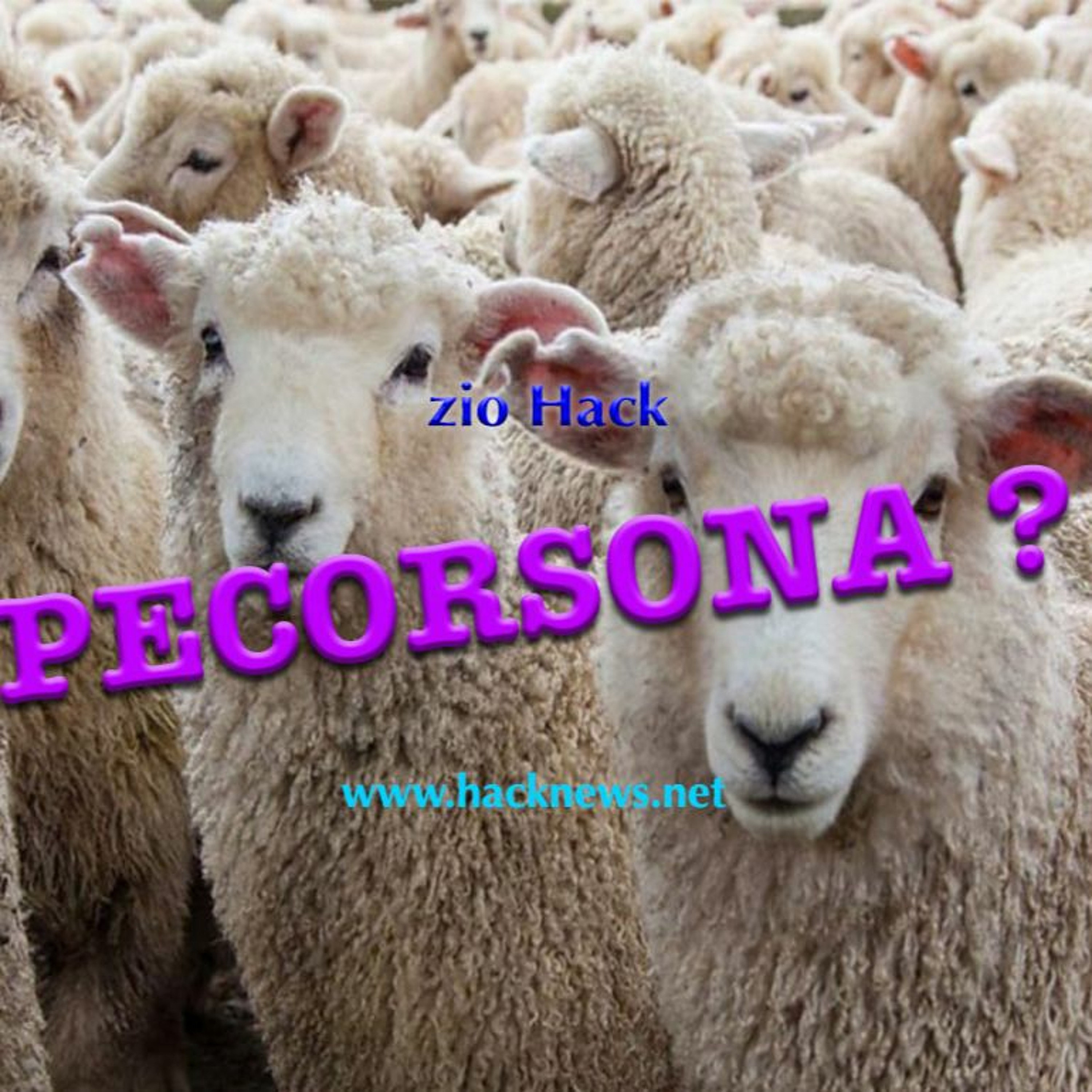 Il Porcast dello zio Hack dal 1998 Miglioramento Personale Underground
