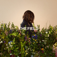 The Field (feat. Jason Upton)