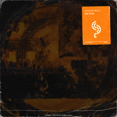 Andrea Ricci - On Fire