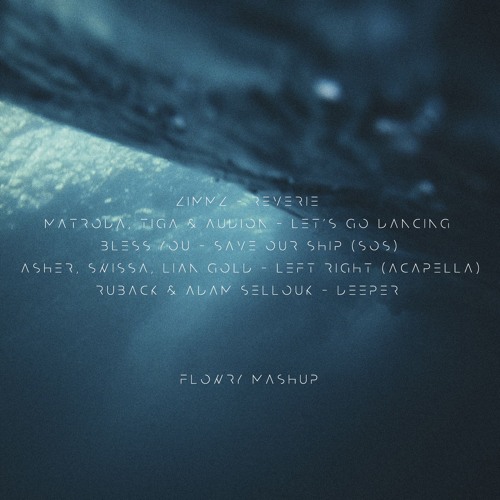 Zimmz vs Tiga & Audion vs  Bless You vs RUBACK  - Save Our Dancing Reverie [Flowry Mashup]