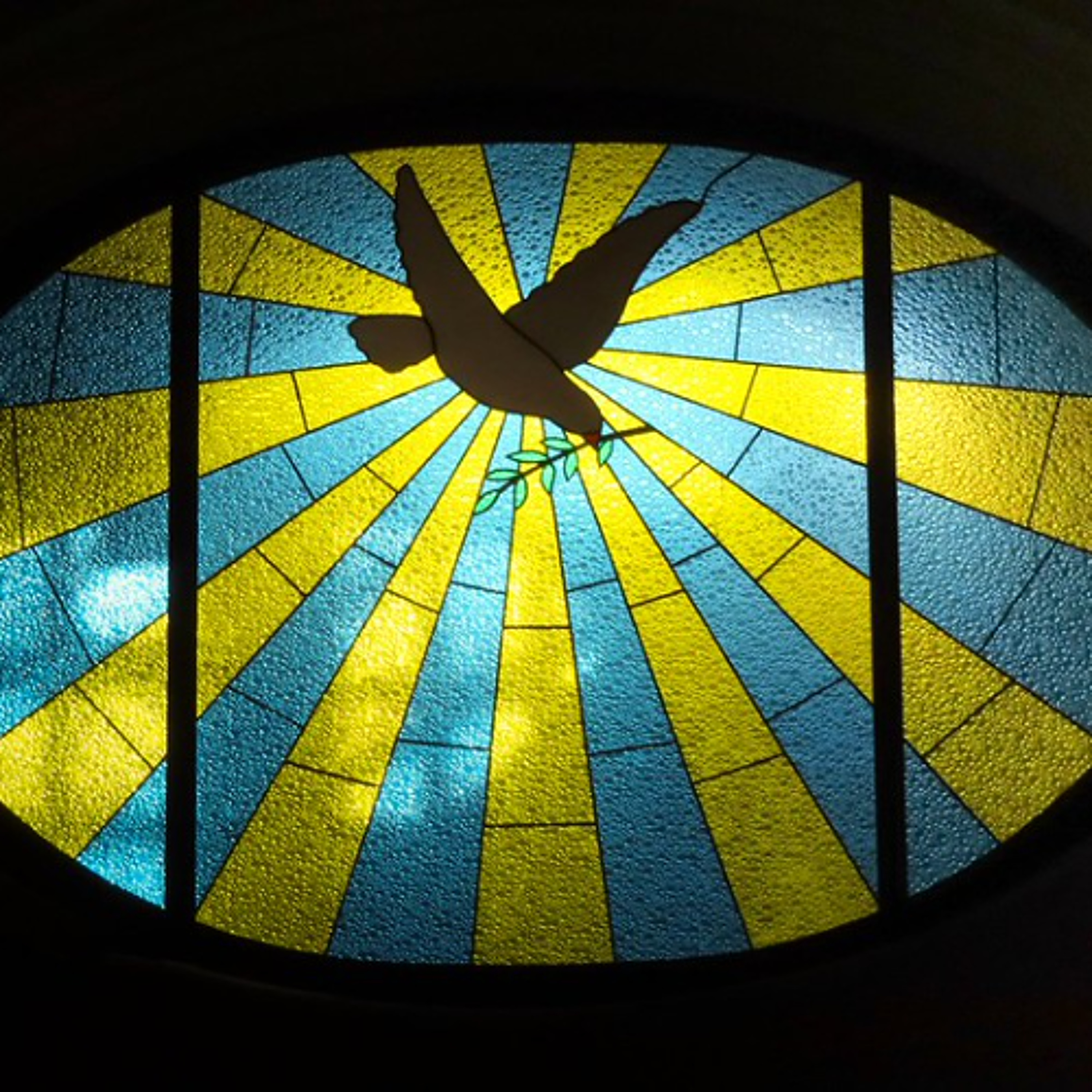 “Nonviolence in Action” conference comes to Madison