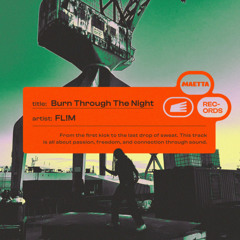 PREMIERE: FL!M - Burn Through The Night