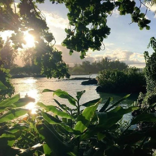 سورة الجاثيه | ش.وليد السعيد