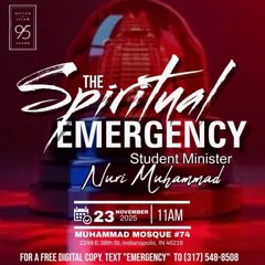 The Spiritual Emergency.m4a