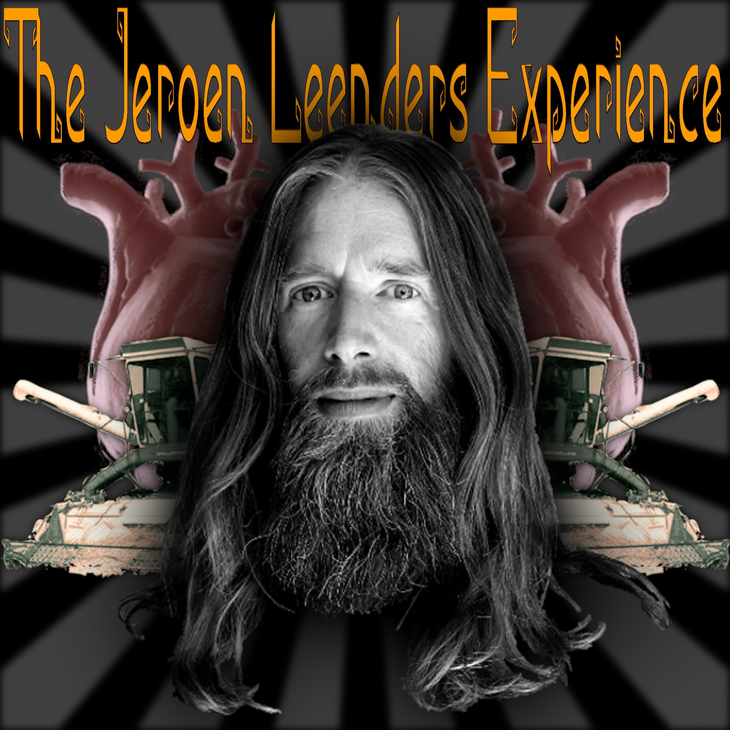 Jeroen Leenders Experience