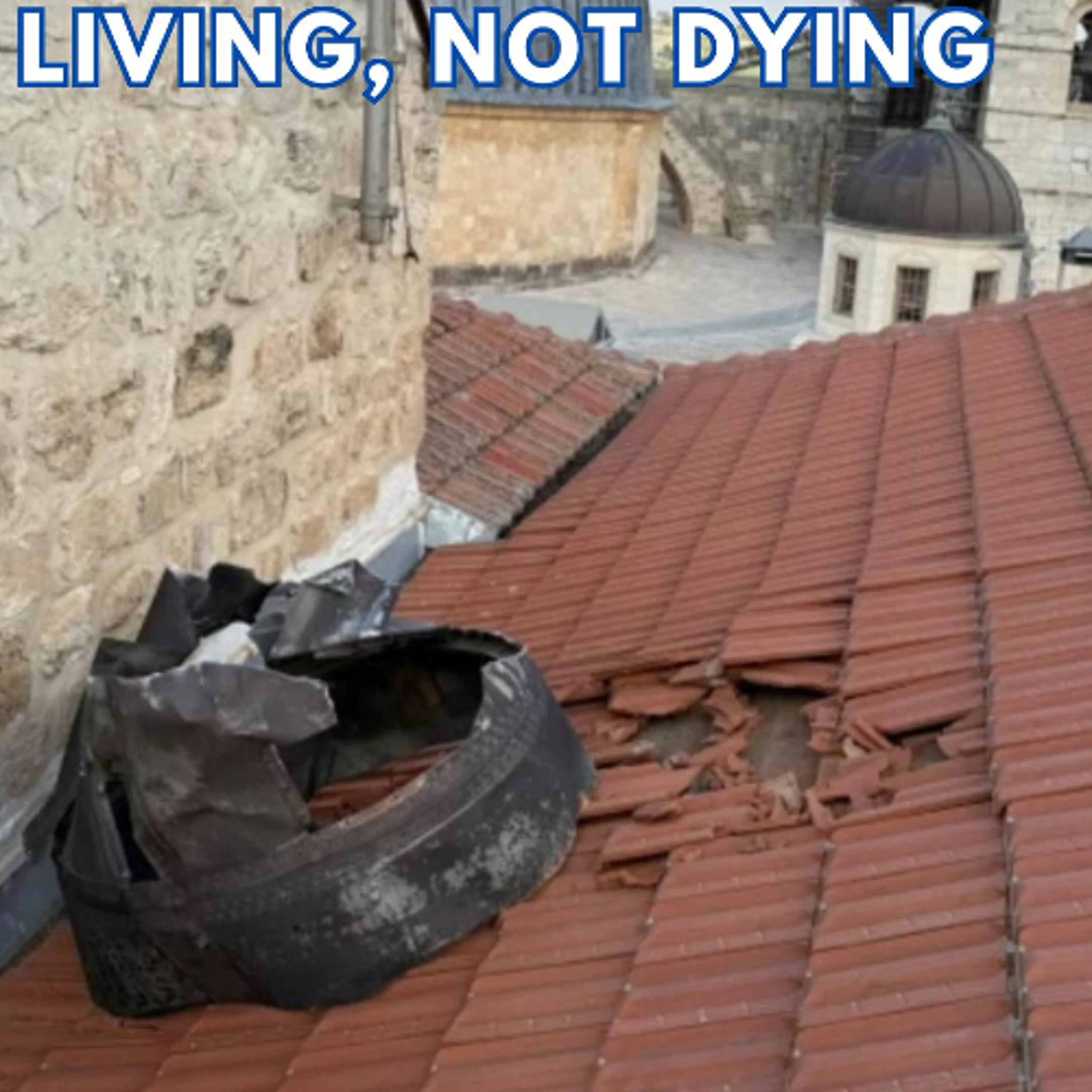 LIVING, NOT DYING episode artwork