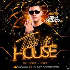 THIS IS HOUSE BY ADRIAN DELGADO