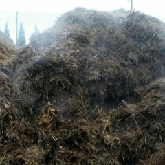 GNÓJ JAK CHUJ (Explosion remix)