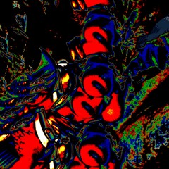 M I EDO E IN DIGNA CIÓN E N L O S G R U P O S L O C A L E S D E E M O S (WABBIT SEASON)