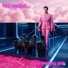 Not Perfect but Wearing Pink.mp3