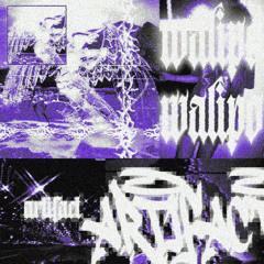 artifact