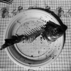 La Cena Moderna (compo originale : multiform)