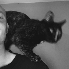 Shoop (HALSHANGAR House Flip)