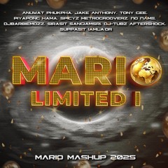 MARIO MASHUP - Limited I (2025)