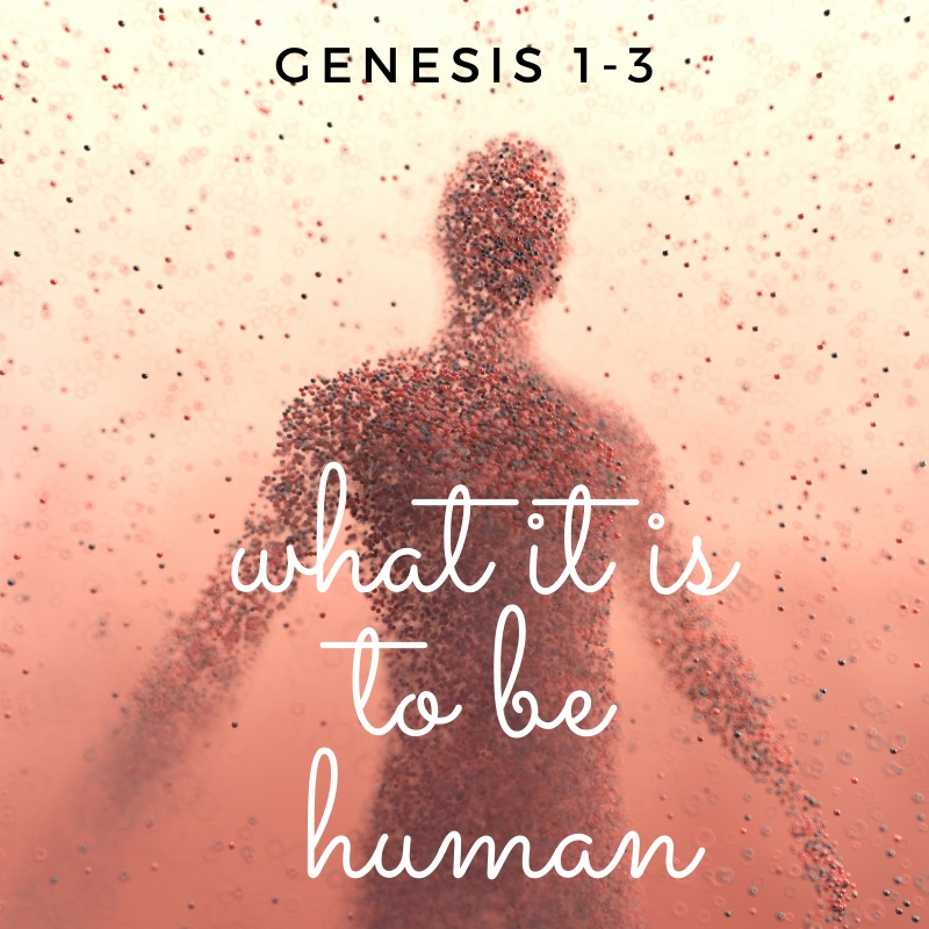 Made in God's image - Genesis 1-2 - 12th September 2021 - Jonathan Jee episode artwork