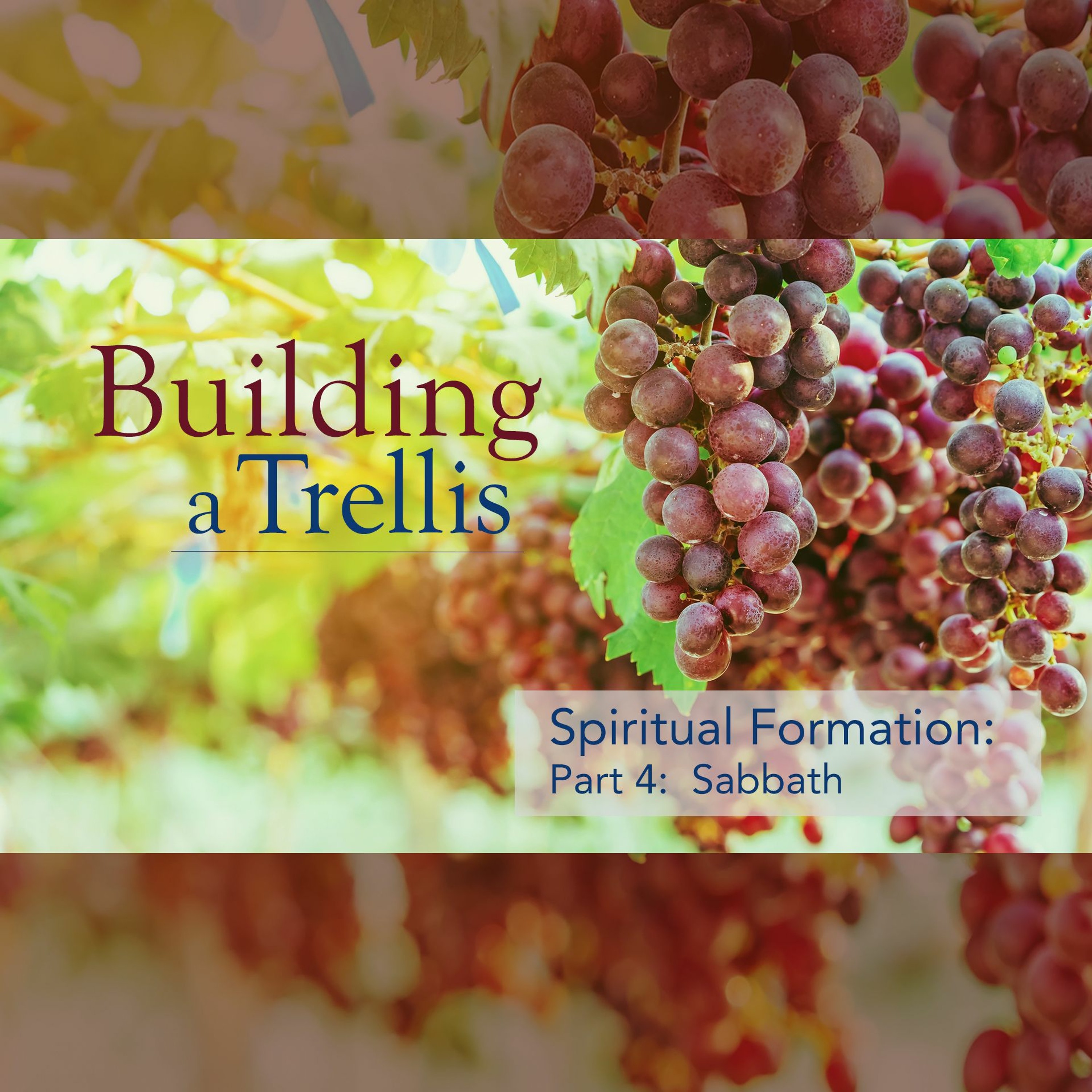 Building a Trellis, Part 4: Sabbath episode artwork