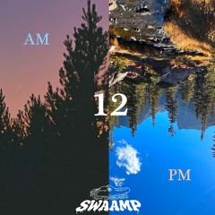12ampm - SWAAMP