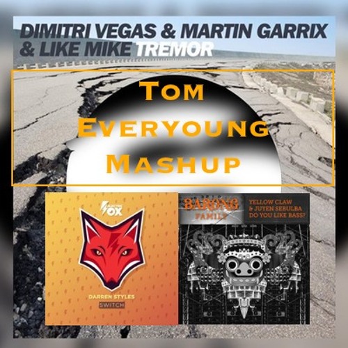 Do You Like Bass x Switch x Tremor (Tom Everyoung Mashup)