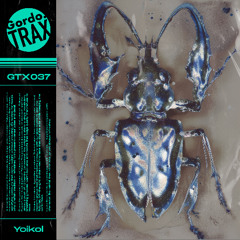 Yoikol - El Camino Serpentea [GTX037]