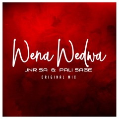 Jnr SA ft Pali Stage_Wena Wedwa (Radio Edit)