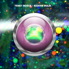 Temet Nosce - Bjoern Mulik