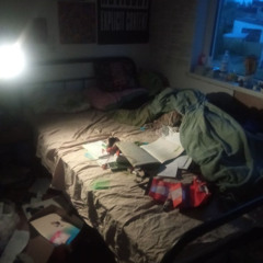 bedrotting