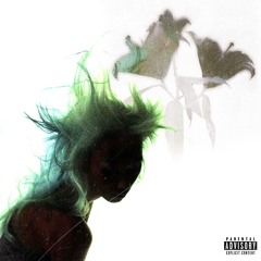 Poisonous Love (feat. shallow)