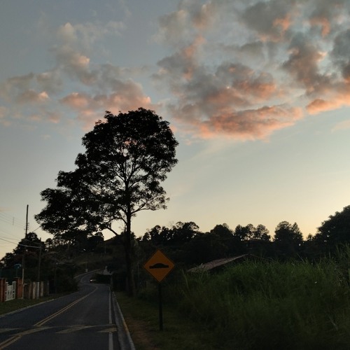 R 301-Trym