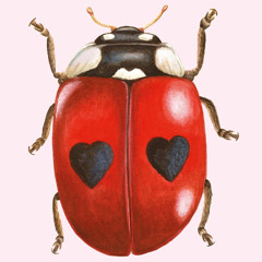 Lovebug