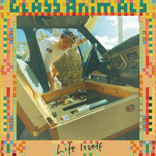 Life Itself, Cover (Originally by Glass Animals)
