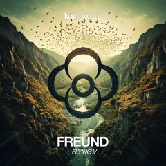 Freund - Flying V