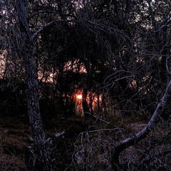 monte perdido - la malicia (demo)