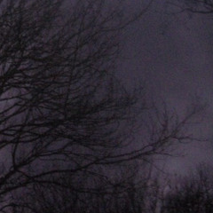 twilight(prod.aureola)