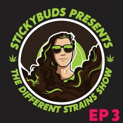 The Different Strains Show (EP3)