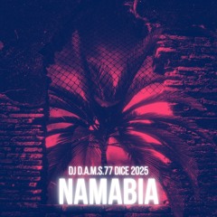 DJ D.A.M.S.77 DICE Namibia 2025