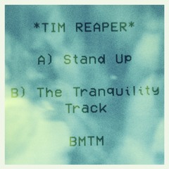 Tim Reaper - The Tranquility Track (Blu Mar Ten Music)